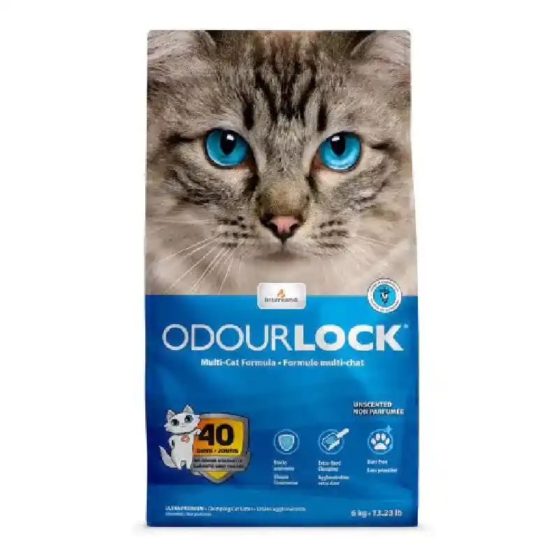 Intersand Odor Lock Unscented Cat Litter 13-lb
