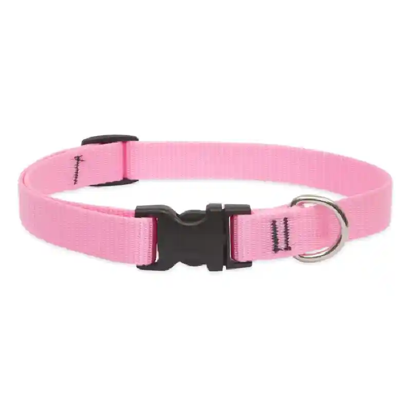 Lupine Dog Collar - Solids Pink "9-14 X 3/4"