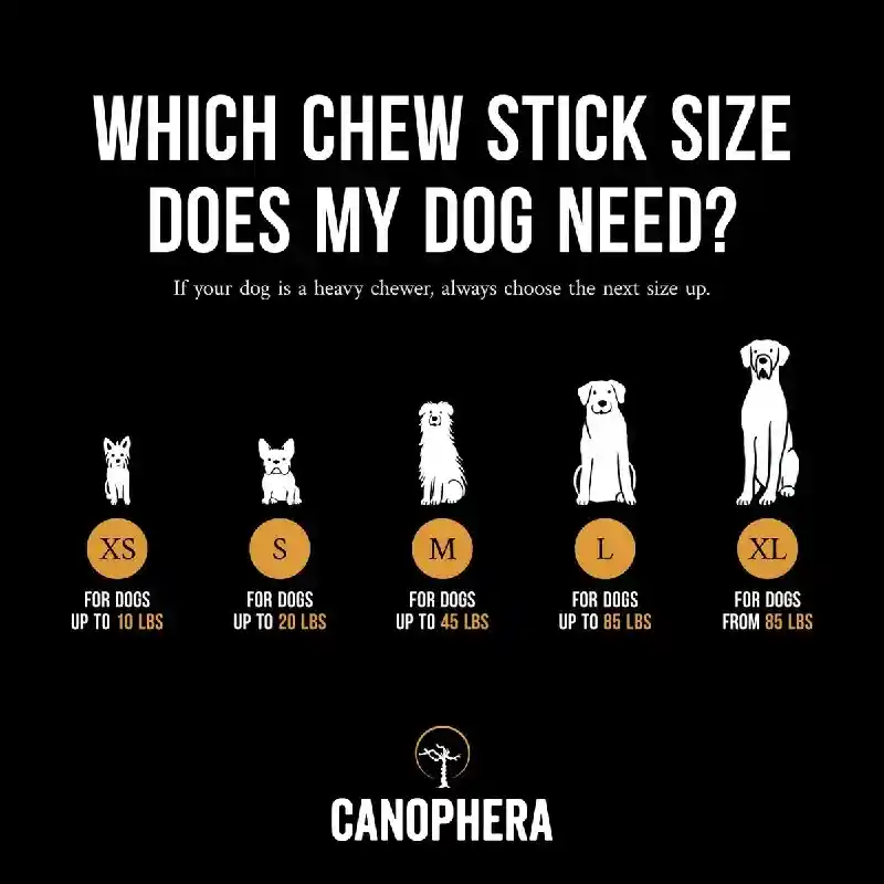 Canophera Dog Chew Coffee Wood/coconut Rope Large