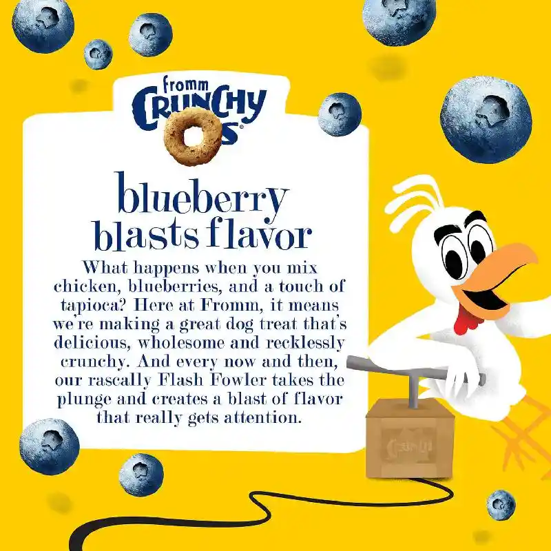 Fromm Treats Crunchy Os Gf Blueberry Blasts 26oz