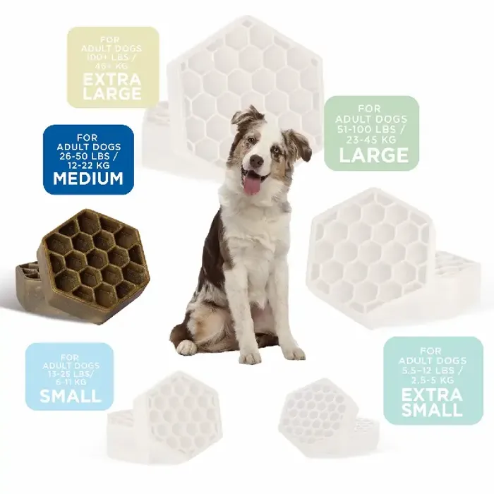 Yummy Combs Flossing Dental Treat Medium