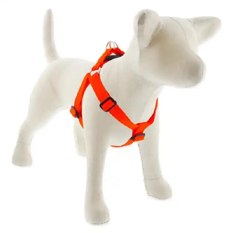 Lupine 1" Step In Harness Blaze Orange 19"-28"