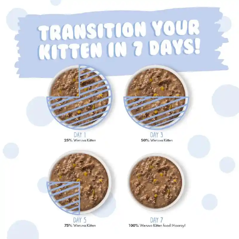 Weruva Kitten Can Chicken & Pumpkin In Gravy 3-oz