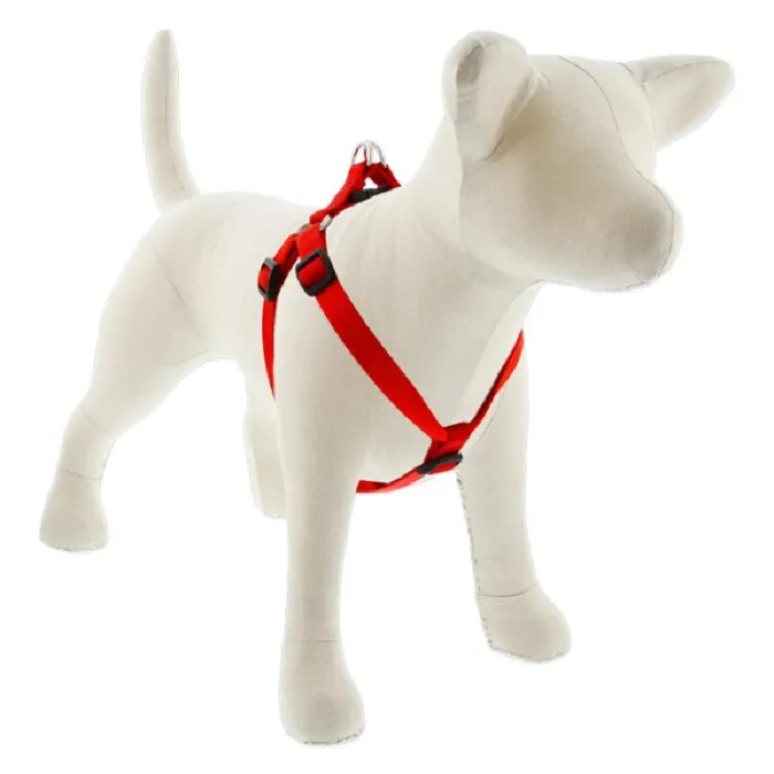 Lupine Harness 15"-21" Red Basic Red 15"-21" 3/4"