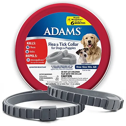 Adams+ F&t Collar Dog 26