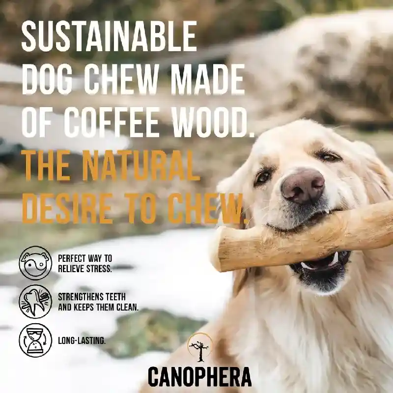 Canophera Coffee Tree Wood Chews Xl