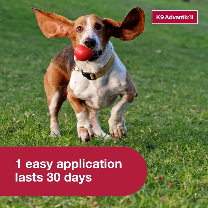 K9 Advantix Ii Dog Medium 11-20 Lbs. 4 Pack
