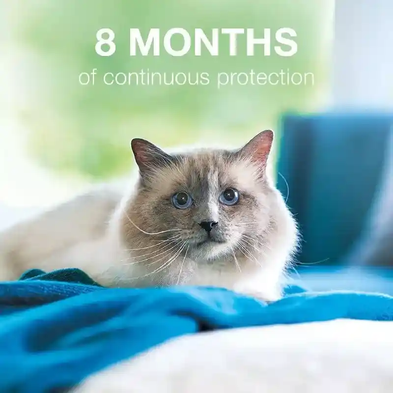 Seresto Flea & Tick Collar For Cats Standard Size