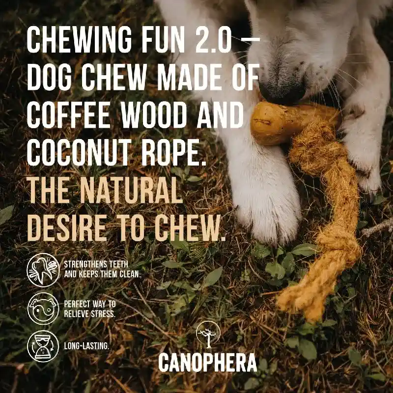 Canophera Dog Chew Coffee Wood/coconut Rope Large
