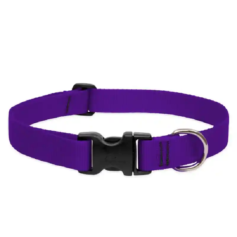 Lupine Adjustable Collar 1" 12-20" Purple