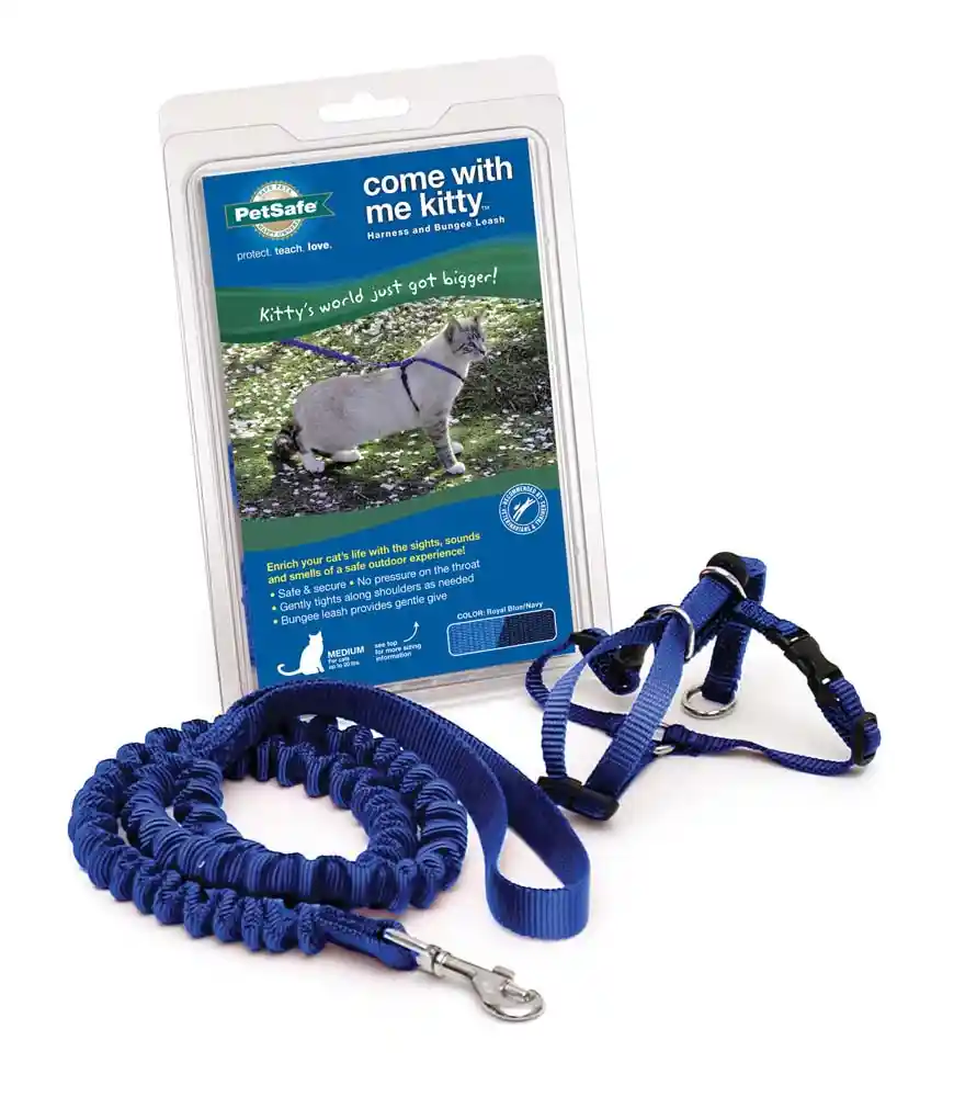 Harness & Bungee Leash Small Royal Blue Small