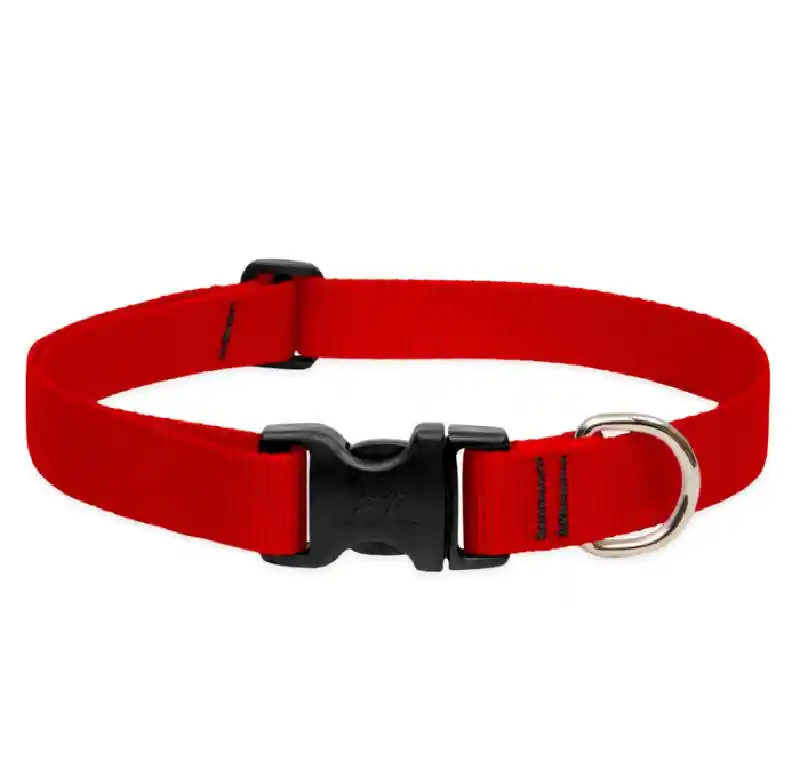 Lupine Collar 16"-28" Red Basic Red 16"-28" 1"