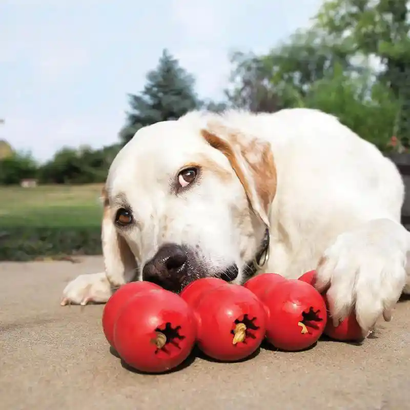 Kong Goodie Ribbon Dog Toy Med