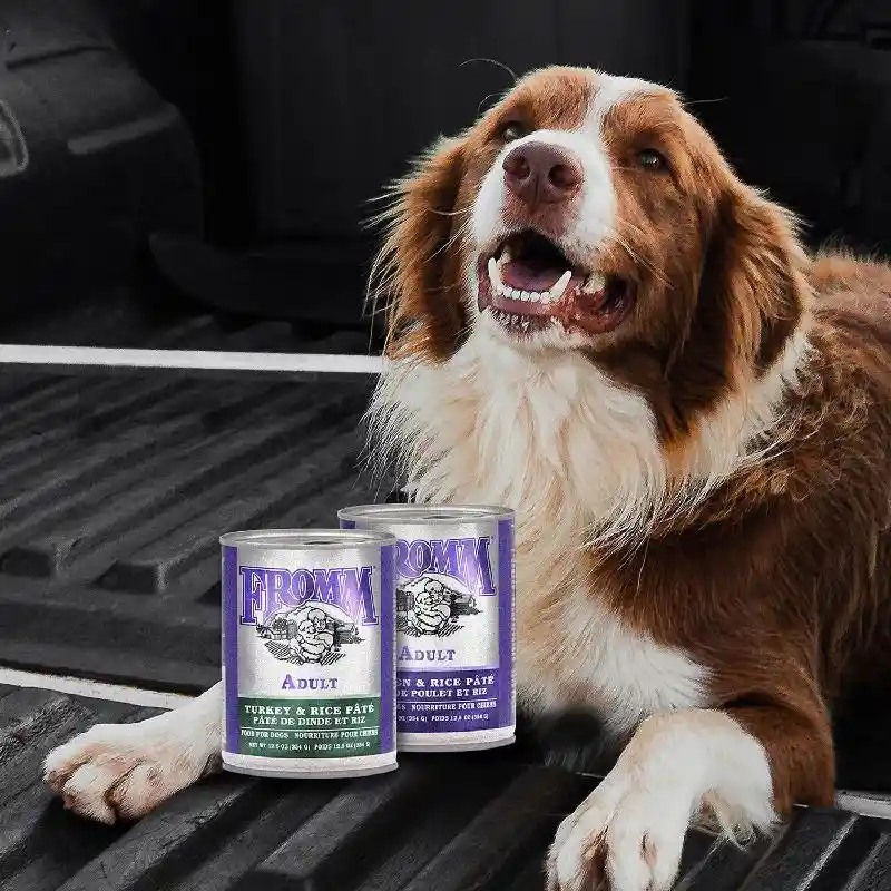Fromm 12.5 Oz Dog Classic Trky Rice Pate Can 12/cs