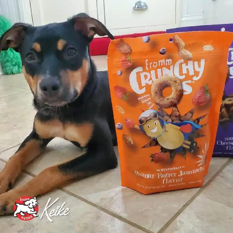 Fromm Crunchy O's Dog Treats Pb Jammers 26-oz