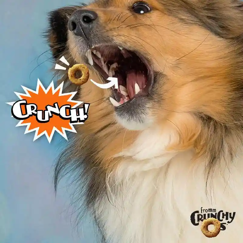 Fromm Crunchy O's Dog Treats Pb Jammers 26-oz
