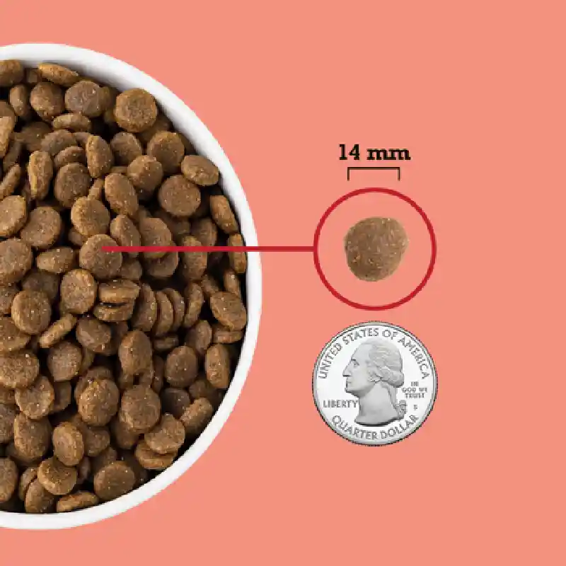 Acana Red Meat Gf Dry Dog Food 25-lb