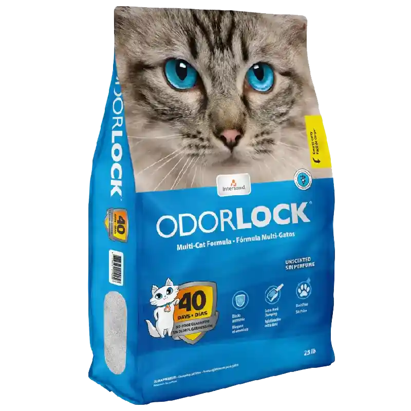 Intersand Odor Lock Unscented Cat Litter 13lb