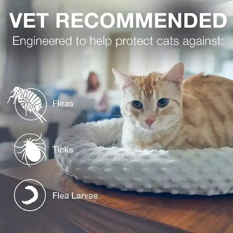 Seresto Flea & Tick Collar For Cats Standard Size