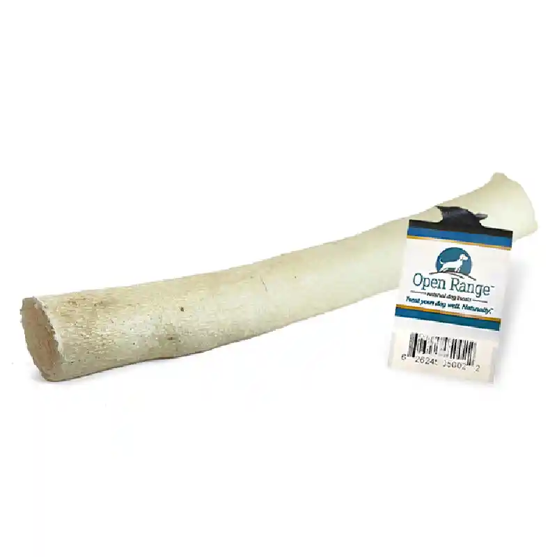 Or Bull Tail 6"