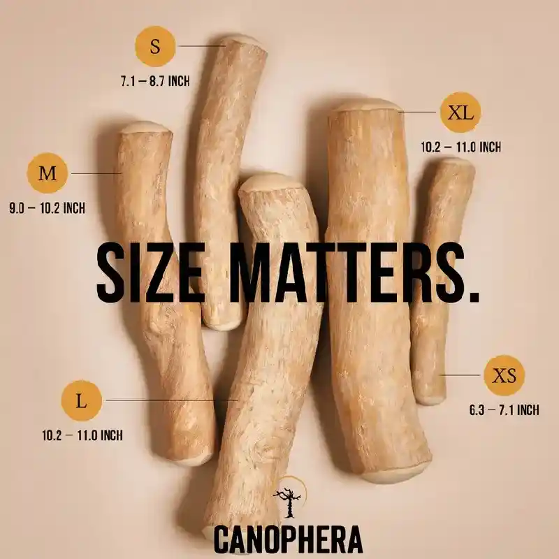 Canophera Coffee Wood Chew Xs
