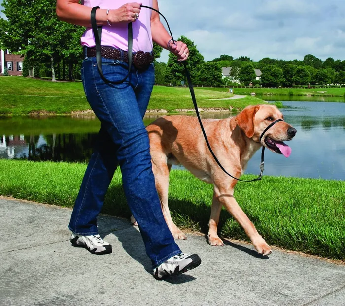 Gentle Leader Headcollar, No-pull Collar Lg Blk