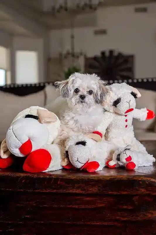 Multipet Lamb Chop Plush Dog 10"