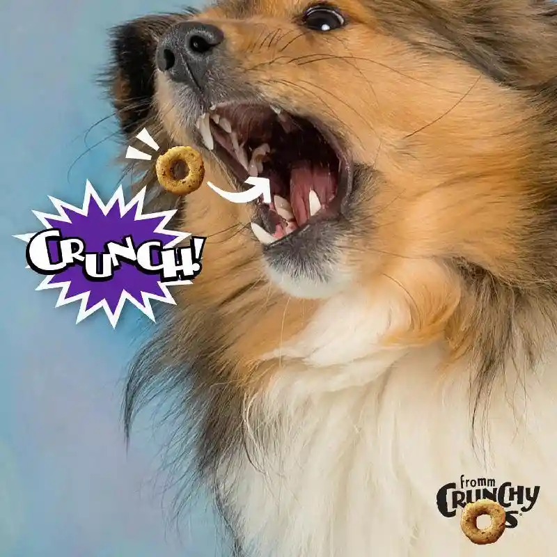 Fromm Crunchy O's Treats Smokin Cheeseplosion 26-o