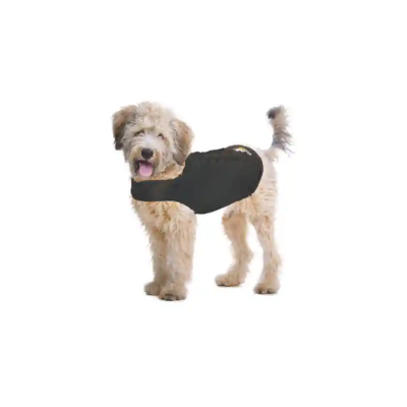 Zendog Large