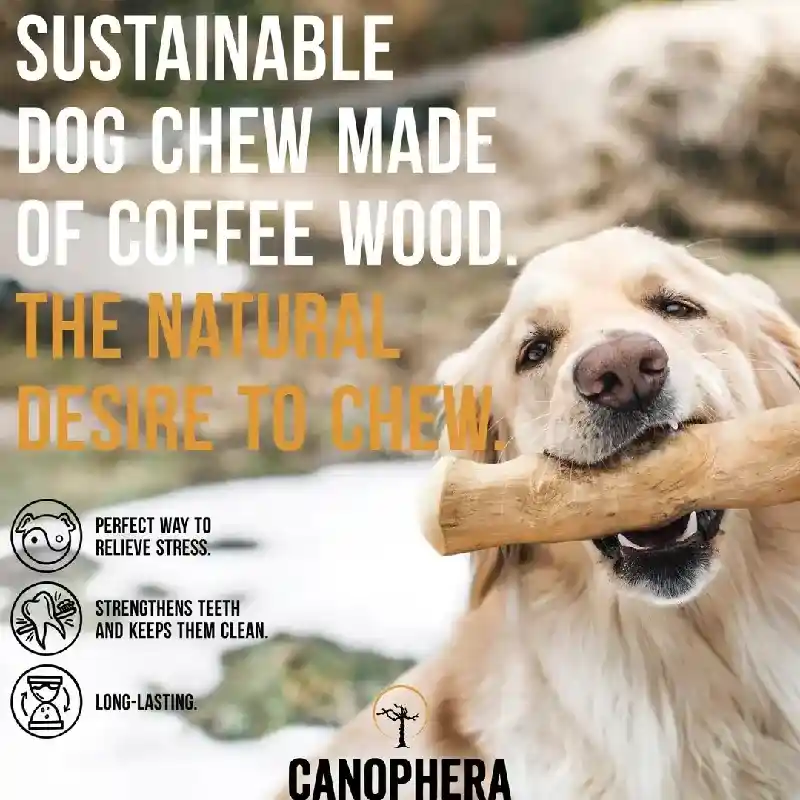 Canophera Coffee Wood Chew Stick Medium