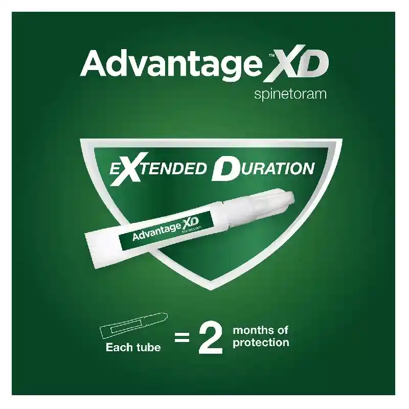 Advantage Xd C Sm 1pk