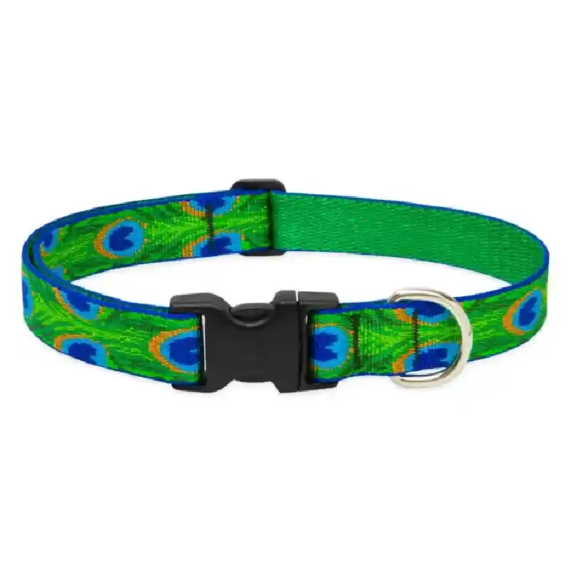 Lupine 1" Tail Feathers 12"-20" Adj. Collar