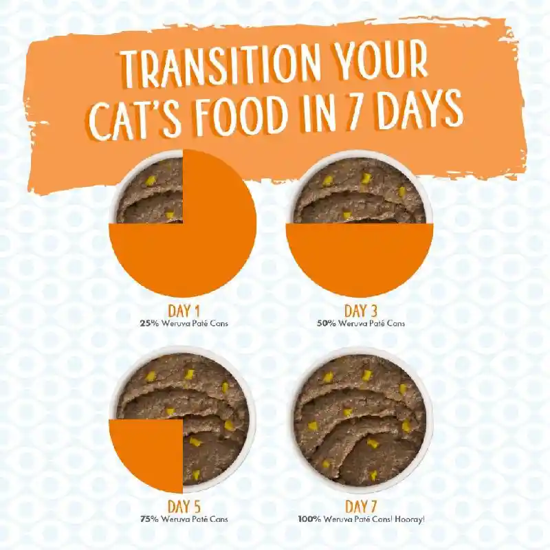 Weruva Can Chicken & Pumpkin Meowionaire 3-oz