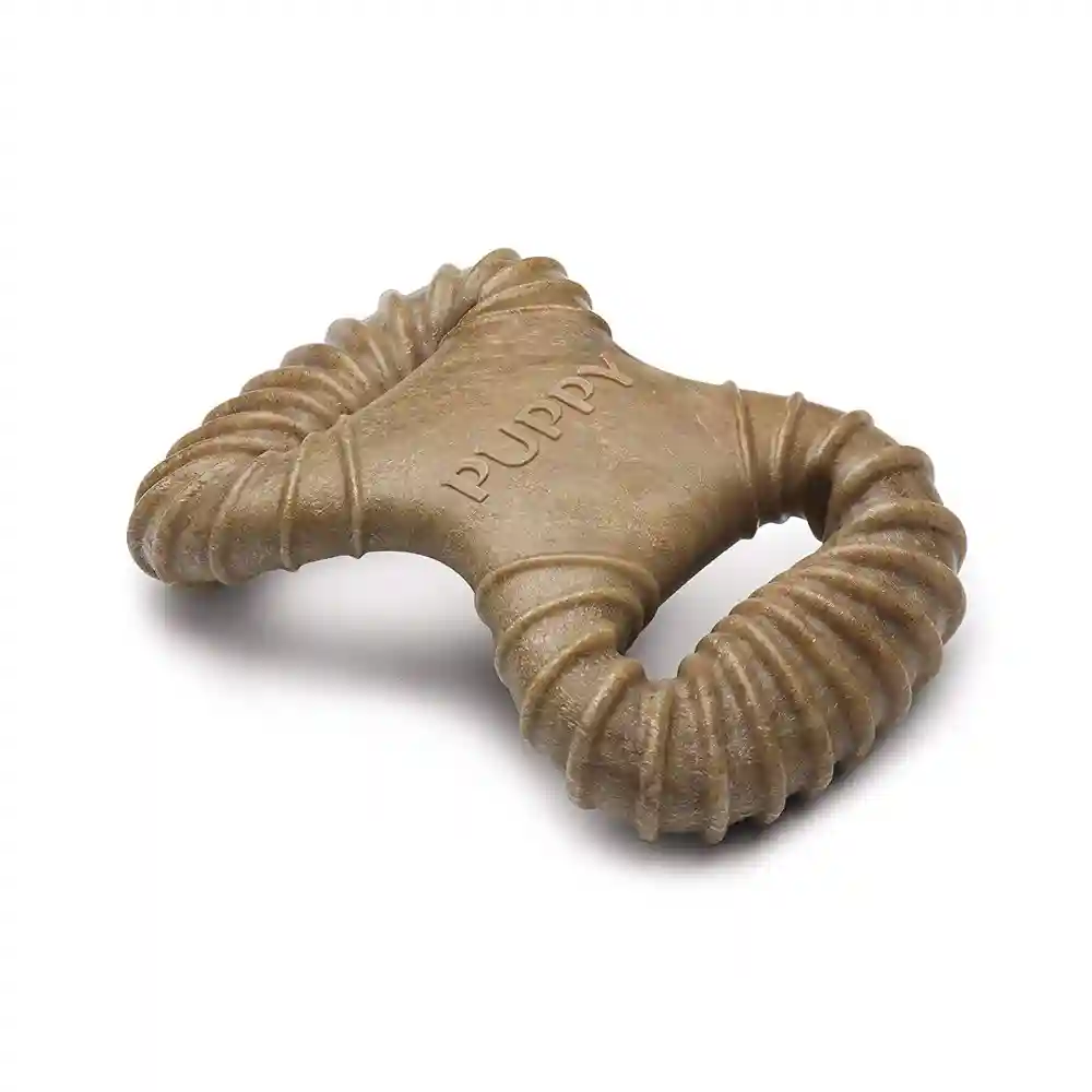 Puppy Pack Bacon Flavor Puppy Chew Toy, 2-ct