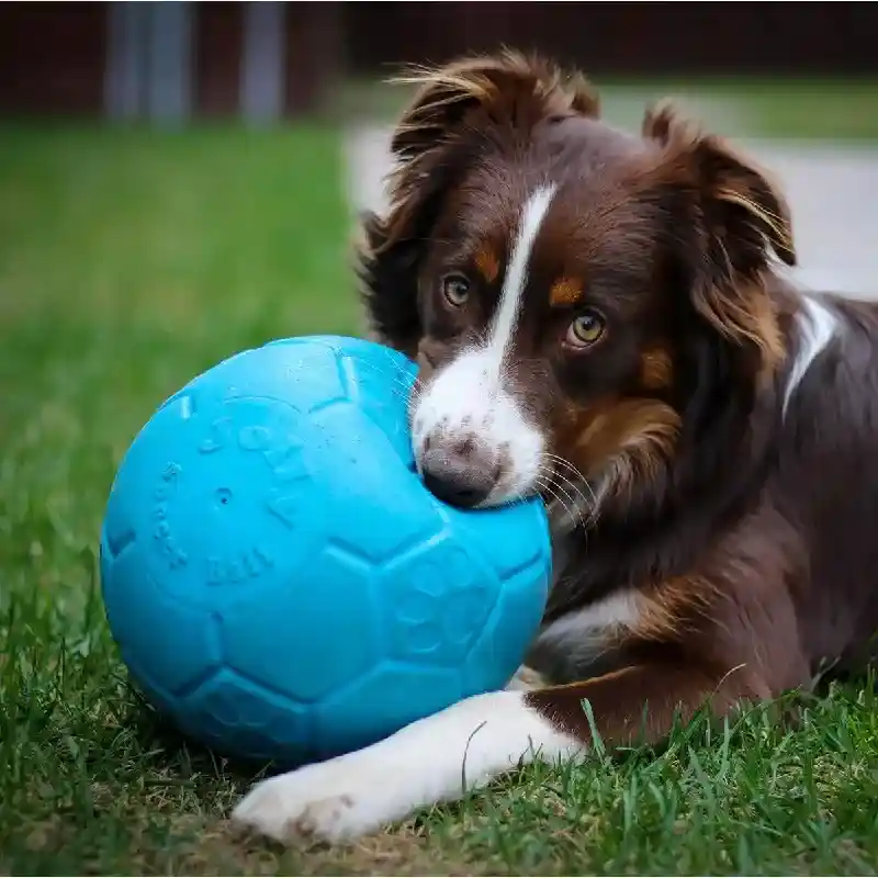Jolly Pets Toy Soccer Ball Bl 5.5in