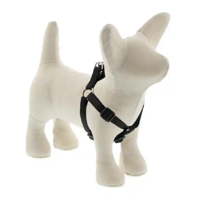 Lupine Solids - Harness 1/2" Black 12 - 18"