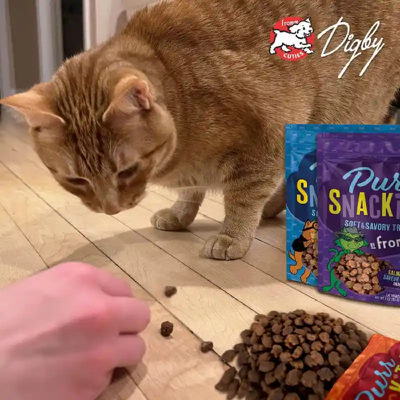 Fromm Purr Snackitty Liver Treat 3-oz