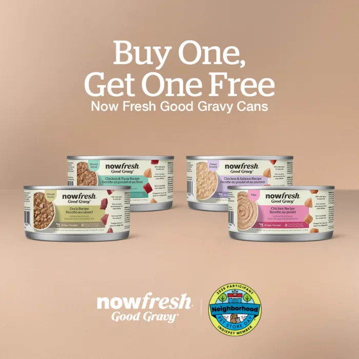 Promotion Image