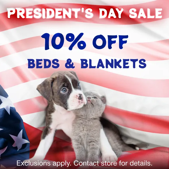Promotion Image
