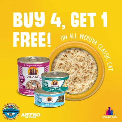 Promotion Image