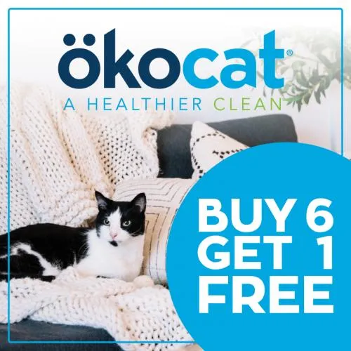 Promotion Image