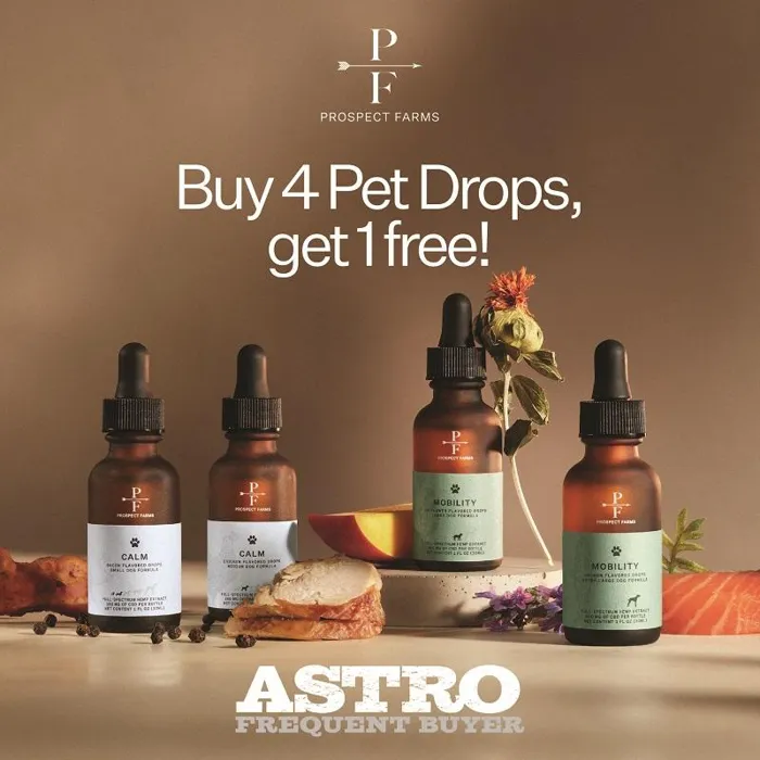 Promotion Image