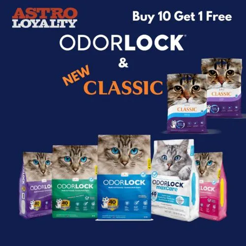 Promotion Image