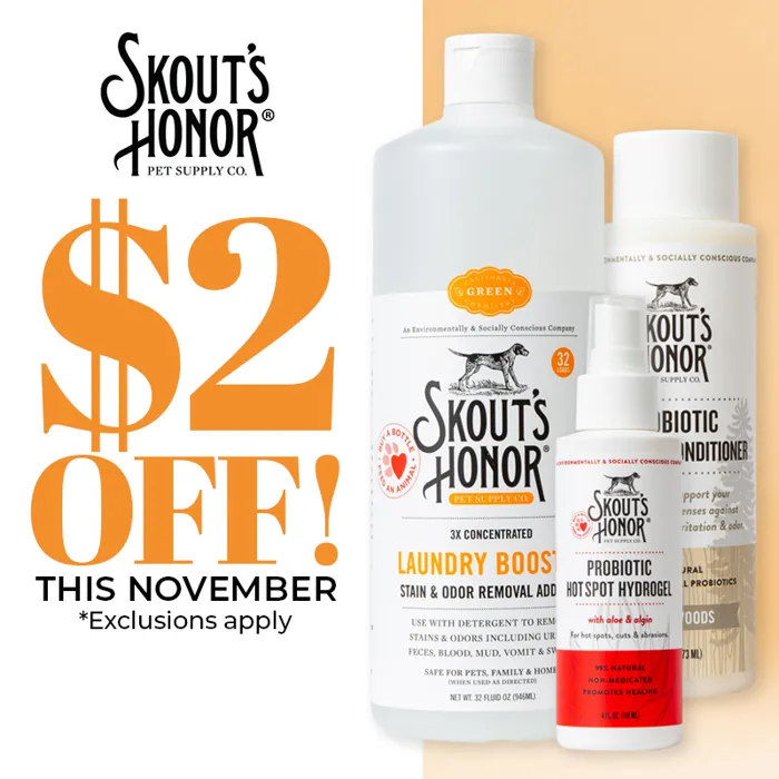 Promotion Image