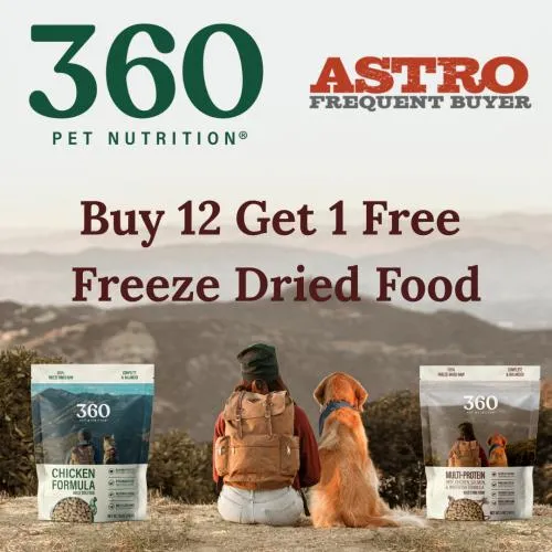 Promotion Image