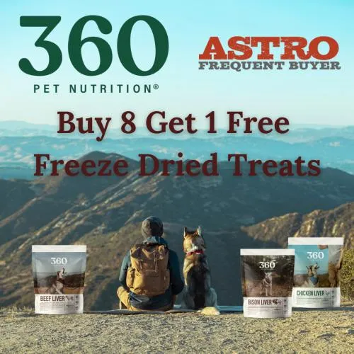 Promotion Image