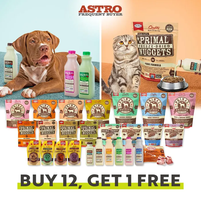 Promotion Image