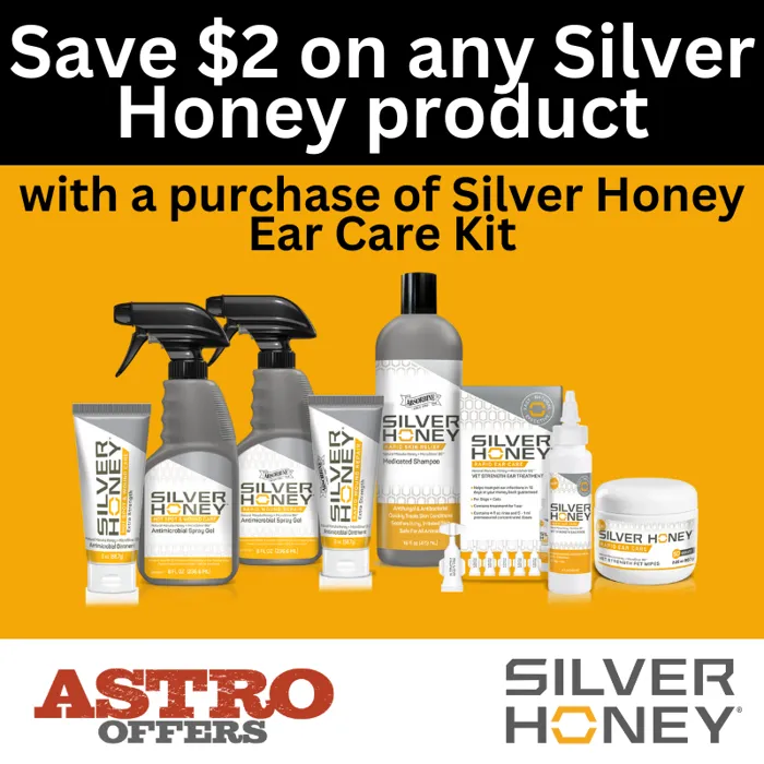 Promotion Image