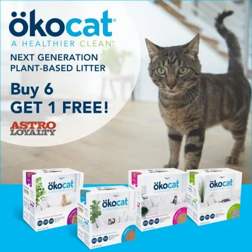 Promotion Image