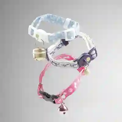 Image Alternative Text